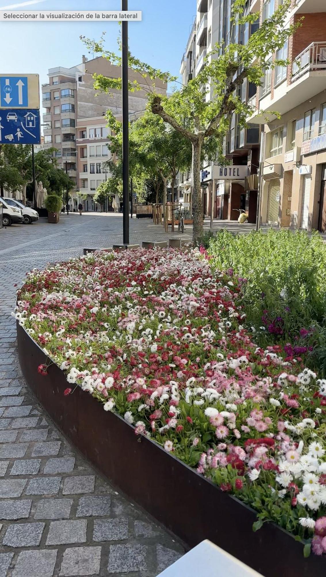 Appartamento Esencia Del Casco Antiguo Logroño Esterno foto